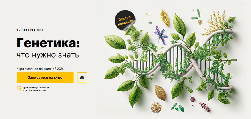 [Егор Мусин] [Level One] Генетика_ что нужно знать_0.png